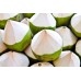 FRESH COCONUT